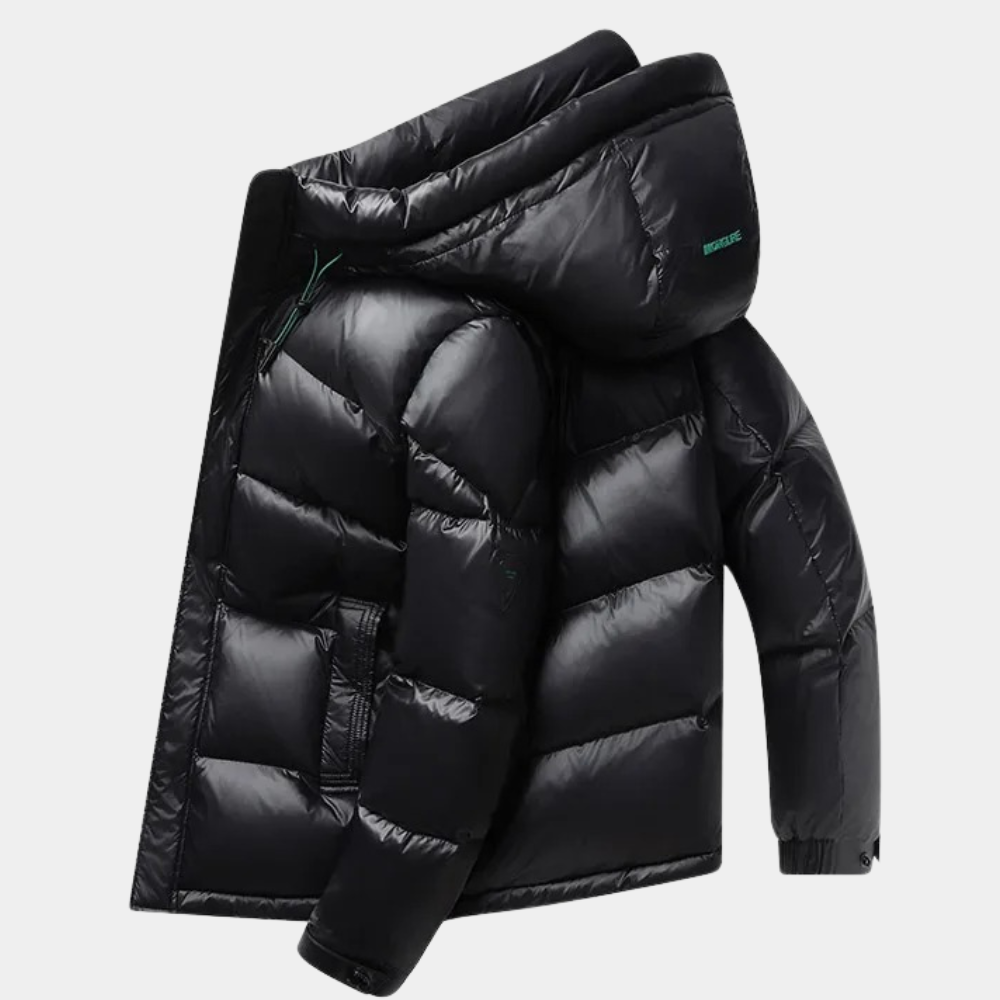 Men's Hooded Down Winter Jacket